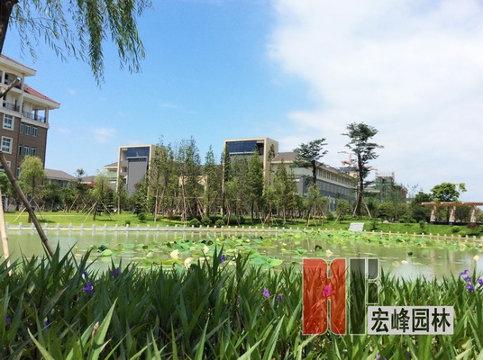 桂林医学院临桂校区荷花塘景观设计